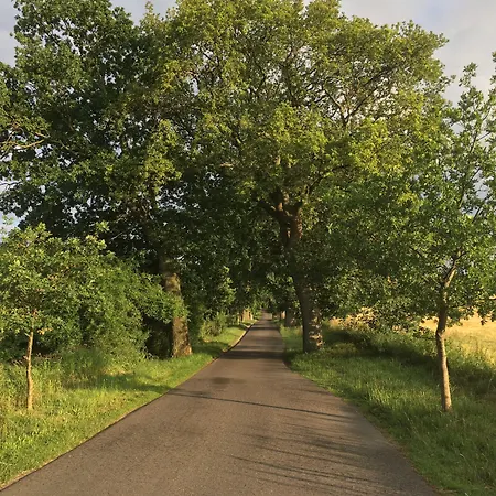 Apartment Witte Hus Ruegen - Ruhige Lage