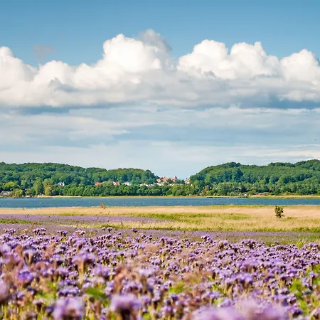 Witte Hus Ruegen - Ruhige Lage Apartment Sellin (Rugen)