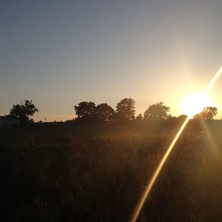 Apartment Witte Hus Ruegen - Ruhige Lage *