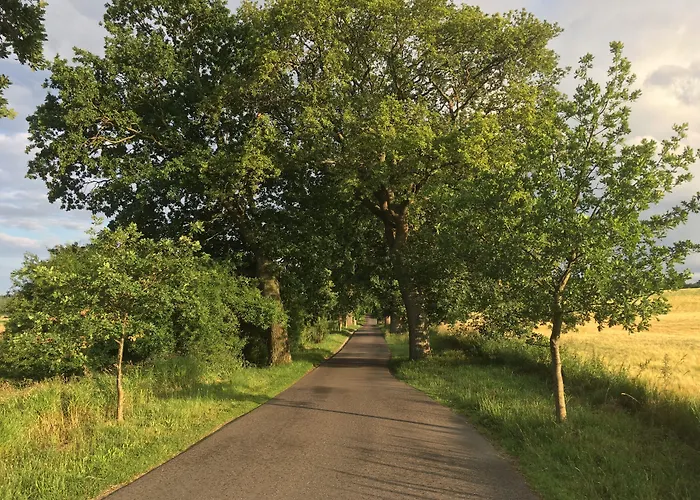 Lägenhet Witte Hus Moritzdorf Ruegen - Ruhige Lage